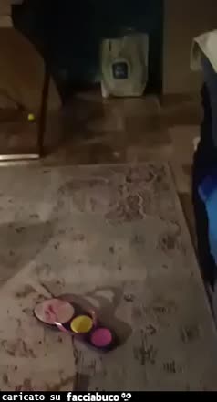 Gif Animata