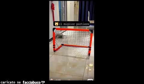 Gif Animata