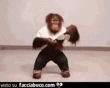 gif animata