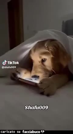 gif animata
