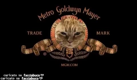 Metro Goldwyn Mayer