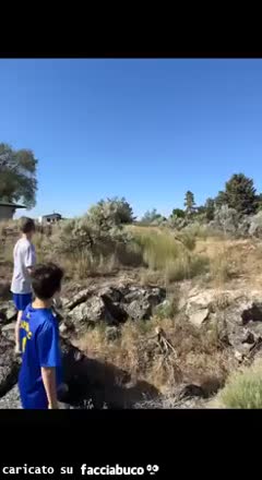 Gif Animata