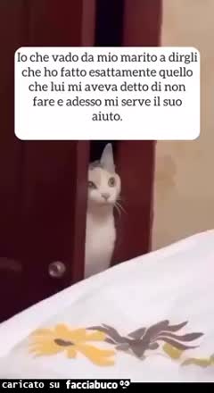 Marito