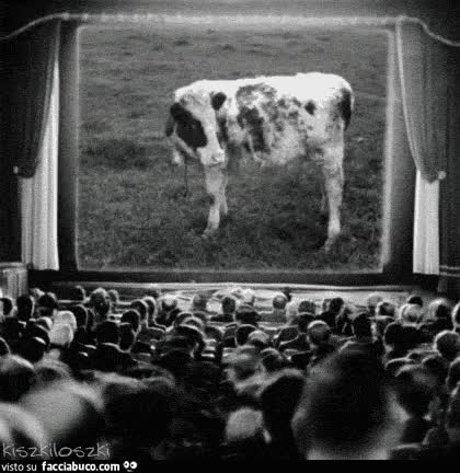 Cinevaccata