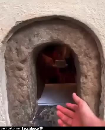 Gif Animata