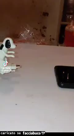 Gif Animata