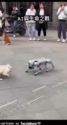 Gif Animata