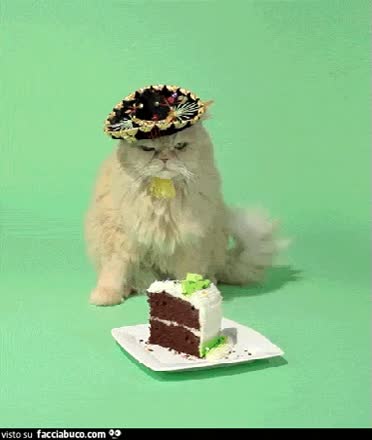 gif animata