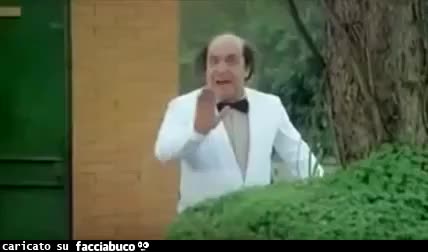 gif animata