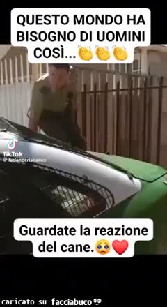 Gif Animata