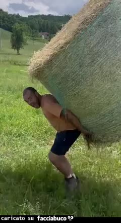 Gif Animata