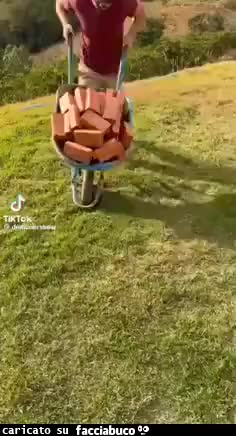 Gif Animata