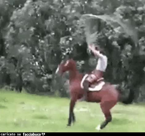 gif animata
