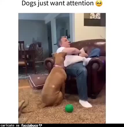 Gif Animata