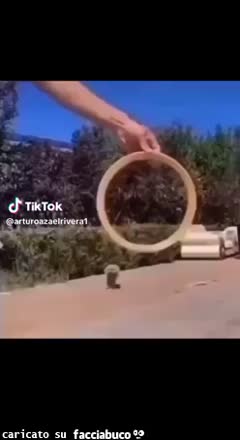 Gif Animata