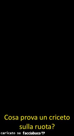 Gif Animata