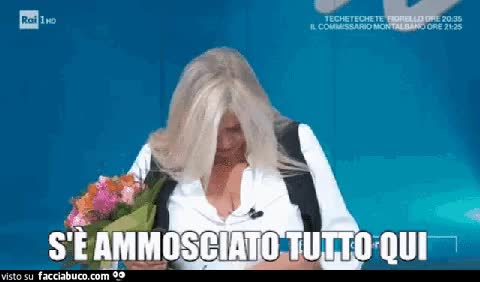 gif animata