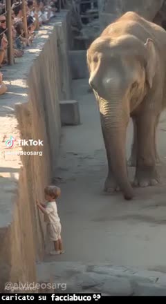 Gif Animata