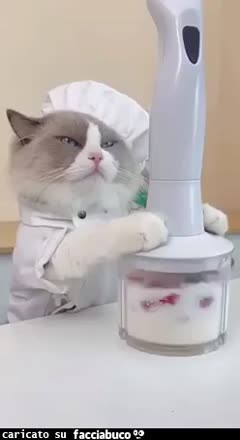 gif animata