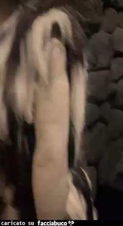 gif animata