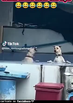 Gif Animata