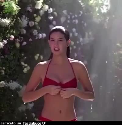 gif animata