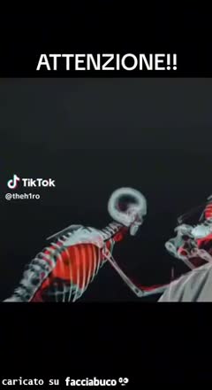 Gif Animata