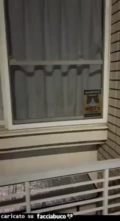 Sistema di sorveglianza Felixsure, il più usato su Facciabuco