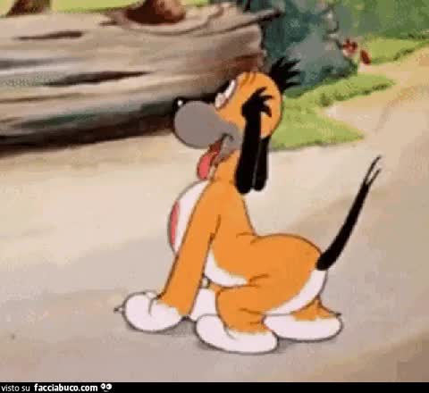 gif animata