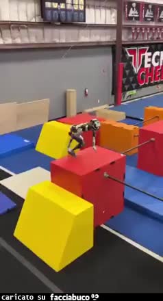 Gif Animata