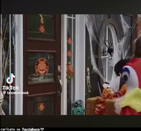 Gif Animata