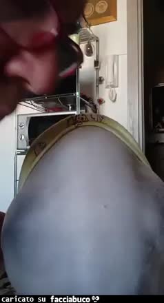 gif animata