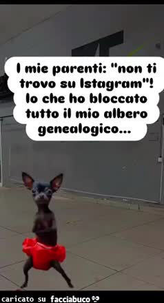 Gif Animata
