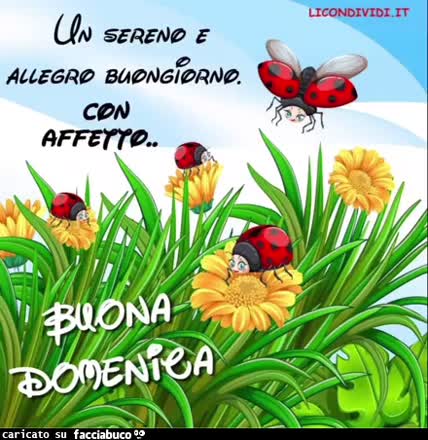 Gif Animata