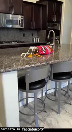Gif Animata