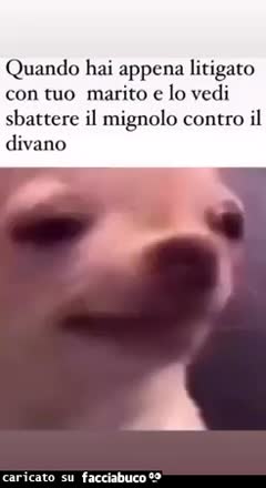 Sbattere