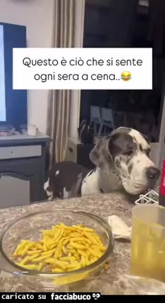 Cani