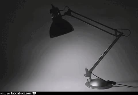 Gif Animata