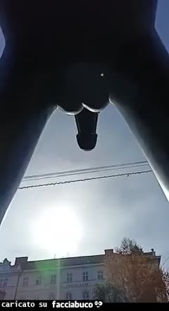 Gif Animata