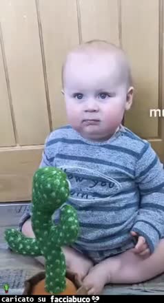 Gif Animata