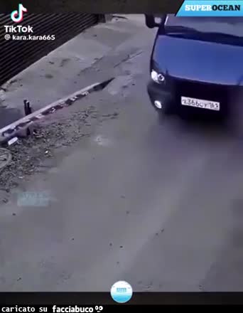 Gif Animata