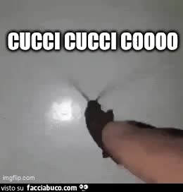 gif animata