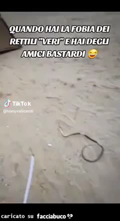 Gif Animata