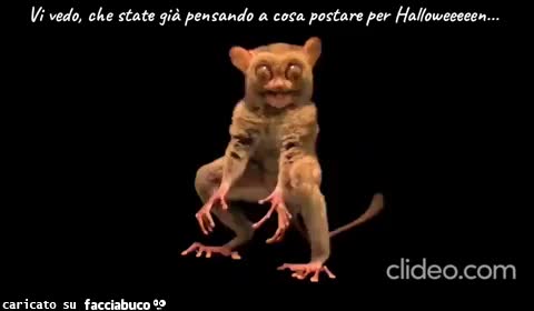 Vi vedo, che state già pensando ad Halloweeeeeen