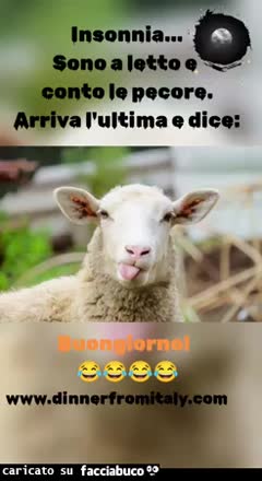gif animata