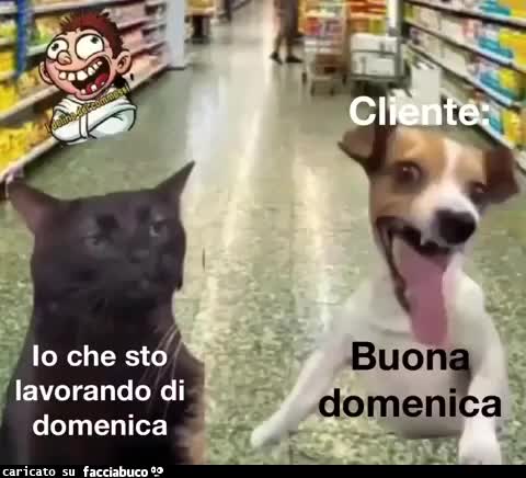 Gif Animata