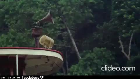 Fitzcarraldo. Prosegue il viaggio sulla Molly-Aida, sulle note del Rigoletto