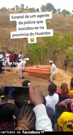 Gif Animata