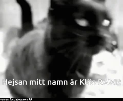 gif animata