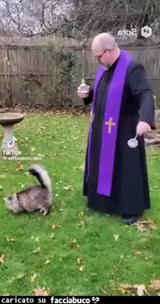 Gif Animata